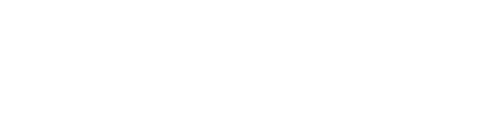 e-BusCar